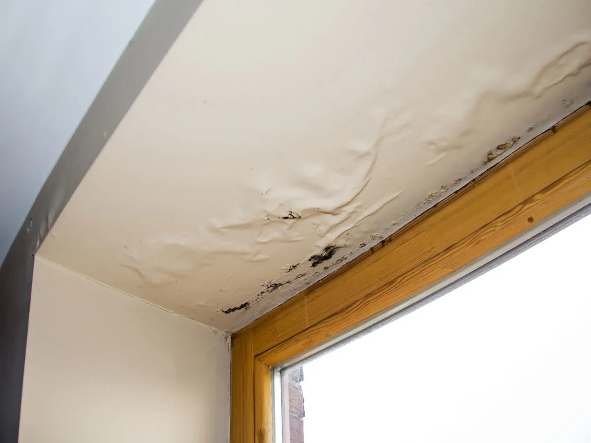 UV and Heat Damaged Roofs